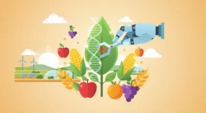 CRISPR Gen Düzenleme: Tarım ve Gıda Güvenliğinde Devrim Yaratan Uygulamalar