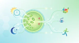 Kronik Yorgunluğa Karşı Mitokondri Sağlığı: Sirkadiyen Ritim Uyumlu Beslenme ve Yaşam Tarzı Stratejileri