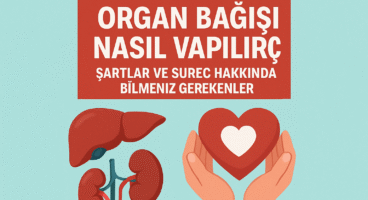 Organ Bağışı Nasıl Yapılır? Şartlar ve Süreç Hakkında Bilmeniz Gerekenler