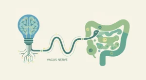 Stres Yönetiminde Vagus Siniri ve Bağırsak Mikrobiyotası: Beyin-Bağırsak Ekseni Üzerinden Çözümler