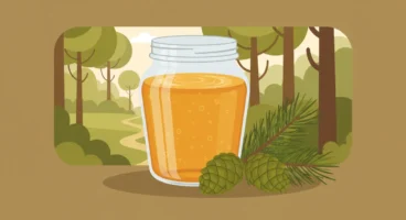 Kozalak Şurubu Faydaları: Geleneksel Şifacıdan Modern Sağlık Sırları