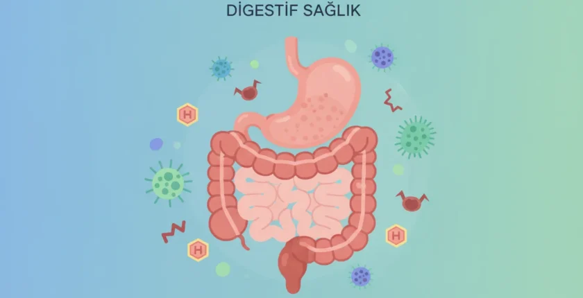 Sağlıklı Beslenmeye Rağmen Şişkinlik Neden Olur? SIBO ve Histamin İntoleransı Rehberi Sağlıklı Beslenmeye Rağmen Şişkinlik Neden Olur? SIBO ve Histamin İntoleransı Rehberi