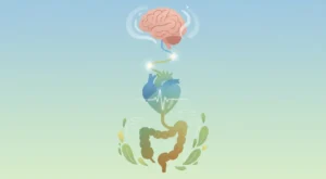 Vagus Siniri Aktivasyonunun Anksiyete ve Sindirim Üzerindeki Bilimsel Etkileri