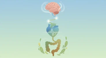 Vagus Siniri Aktivasyonunun Anksiyete ve Sindirim Üzerindeki Bilimsel Etkileri