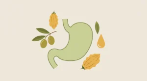 Zeytinyağlı Kudret Narı: Helicobacter Pylori Enfeksiyonuna Karşı Potansiyel Bir Destek mi?