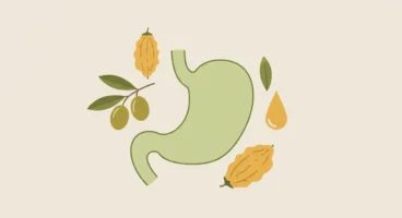 Zeytinyağlı Kudret Narı: Helicobacter Pylori Enfeksiyonuna Karşı Potansiyel Bir Destek mi?