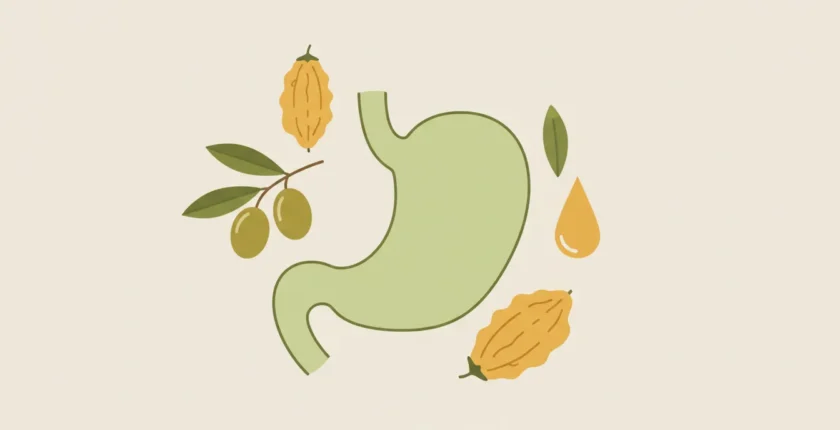 Zeytinyağlı Kudret Narı: Helicobacter Pylori Enfeksiyonuna Karşı Potansiyel Bir Destek mi?