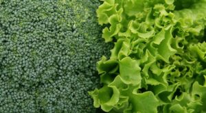 Lektin Nedir? Lektin İçeren Besinler ve Lektinsiz Beslenme Hakkında Bilmeniz Gerekenler