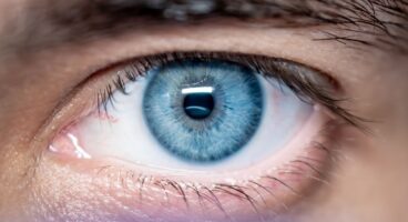 Mavi Işığın Melatonin Hormonuna Etkisi: Ekranların Uyku Kalitesini Bozma Bilimi